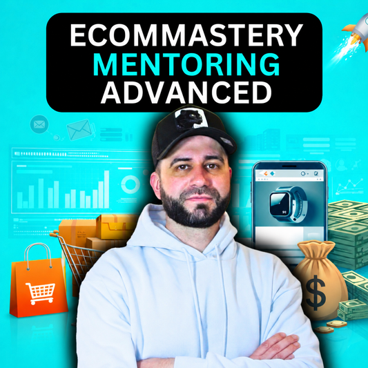 ECOMMASTERY MENTORING ADVANCED